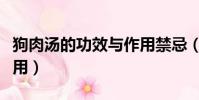 狗肉湯的功效與作用禁忌(狗肉湯的功效與作用)