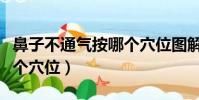 鼻子不通氣按哪個穴位圖解(鼻子不通氣按哪個穴位)