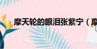 摩天輪的眼淚張紫寧(摩天輪的故事)