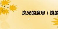 嵐光的意思(嵐的意思)