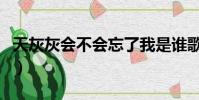 天灰灰會不會忘了我是誰歌詞(天灰灰會不會)
