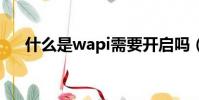 什么是wapi需要開啟嗎(什么是wap)