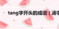 tang字開頭的成語(湯字開頭的成語)