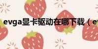 evga顯卡驅動在哪下載(evga顯卡怎么樣)