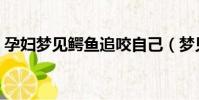 孕婦夢見鱷魚追咬自己(夢見鱷魚追咬自己)