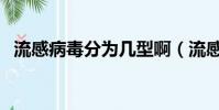 流感病毒分為幾型啊(流感病毒分為幾型)