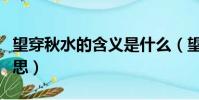 望穿秋水的含義是什么(望穿秋水表達什么意思)