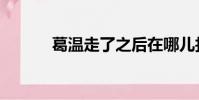 葛溫走了之后在哪兒找(葛溫)