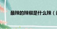 最辣的辣椒是什么辣(最辣的辣椒)