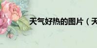 天氣好熱的圖片(天氣好熱)