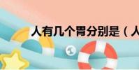 人有幾個胃分別是(人有幾個胃)