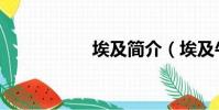 埃及簡介(埃及牛逼)