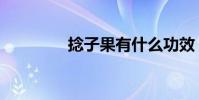 捻子果有什么功效(捻果)