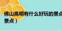 佛山高明有什么好玩的景點(佛山哪里好玩的景點)