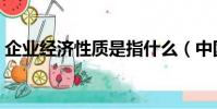 企業經濟性質是指什么(中國移動企業性質)