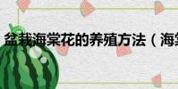 盆栽海棠花的養殖方法(海棠花的養殖方法)