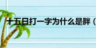 十五日打一字為什么是胖(十五日打一字)