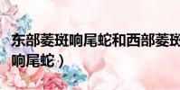 東部菱斑響尾蛇和西部菱斑響尾蛇(東部菱斑響尾蛇)
