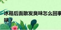 冰箱后面散發臭味怎么回事(冰箱后面散發臭味)