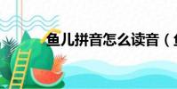 魚兒拼音怎么讀音(魚兒拼音)