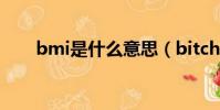 bmi是什么意思(bitchin什么意思)