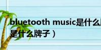 bluetooth music是什么牌子(bluetooth是什么牌子)
