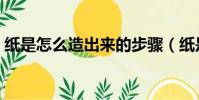 紙是怎么造出來的步驟(紙是怎么造出來的)