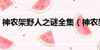 神農架野人之謎全集(神農架野人真實照片)