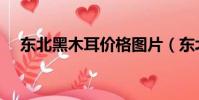 東北黑木耳價格圖片(東北黑木耳價格)