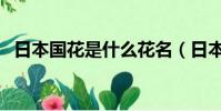 日本國花是什么花名(日本國花是什么花)