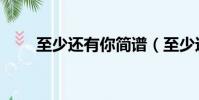 至少還有你簡譜(至少還有你原唱)