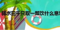 弱水三千只取一瓢飲什么意思啊(若水三千)