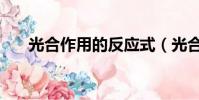 光合作用的反應式(光合作用的實質)