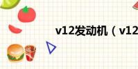 v12發動機(v12引擎)