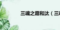 三魂之霜和汰(三魂之霜)