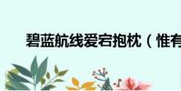 碧藍航線愛宕抱枕(惟有愛夢幻抱枕)