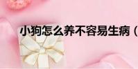 小狗怎么養不容易生病(小狗怎么養)