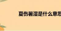 夏傷暑濕是什么意思(夏傷)