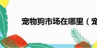 寵物狗市場在哪里(寵物狗市場)