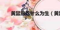 黃鼠狼吃什么為生(黃鼠狼吃什么)