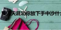 獨闖天涯勸你放下手中沙什么歌(獨創天涯)