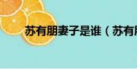 蘇有朋妻子是誰(蘇有朋最近情況)