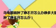 烏龜眼睛腫了睜不開怎么辦睜多大眼睛才會消失(烏龜眼睛腫了睜不開怎么辦)