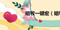 暗牧一鍵宏(暗牧宏)