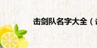 擊劍隊名字大全(擊劍隊)