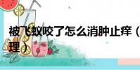 被飛蟻咬了怎么消腫止癢(被飛蟻咬了怎么處理)