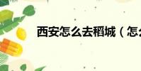 西安怎么去稻城(怎么去稻城)