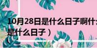 10月28日是什么日子啊什么生肖(10月28日是什么日子)