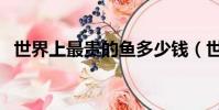 世界上最貴的魚多少錢(世界上最貴的魚)