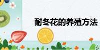 耐冬花的養殖方法(耐冬)